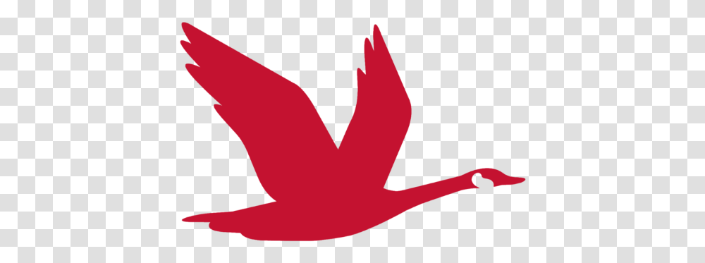 Wawa Red Bird Logo App Icon Sticker By Sky's Design Wawa Goose Logo, Label, Text, Symbol, Trademark Transparent Png