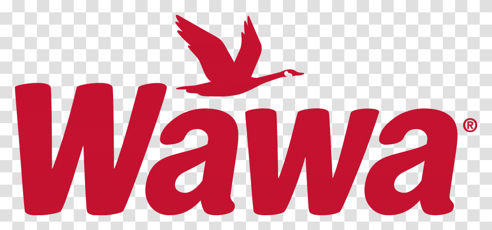 Wawa Wawa Logo, Leaf, Plant, Tree, Text Transparent Png