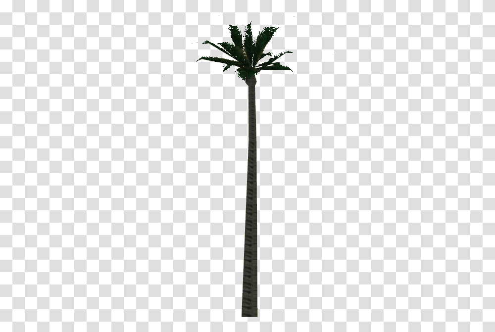 Wax Palm Tree Attalea Speciosa, Weapon, Weaponry, Emblem Transparent Png
