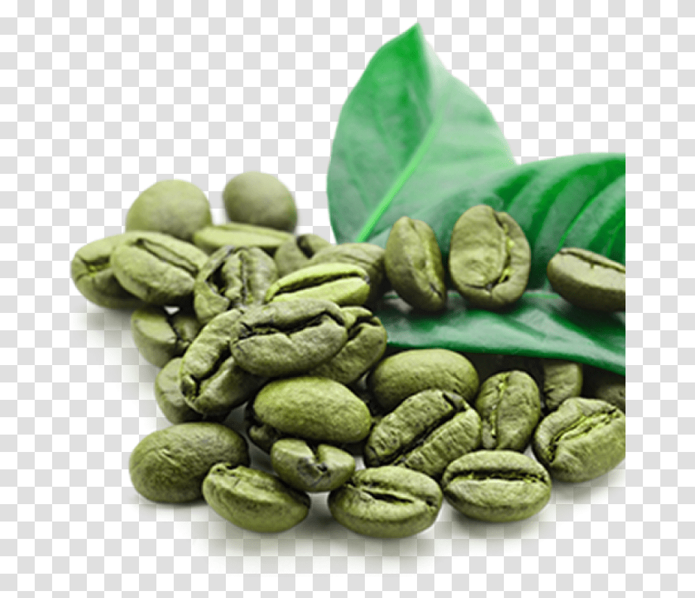 Wayanadan Green Coffee Beans Green Coffee Bean, Plant, Vegetable, Food, Nut Transparent Png