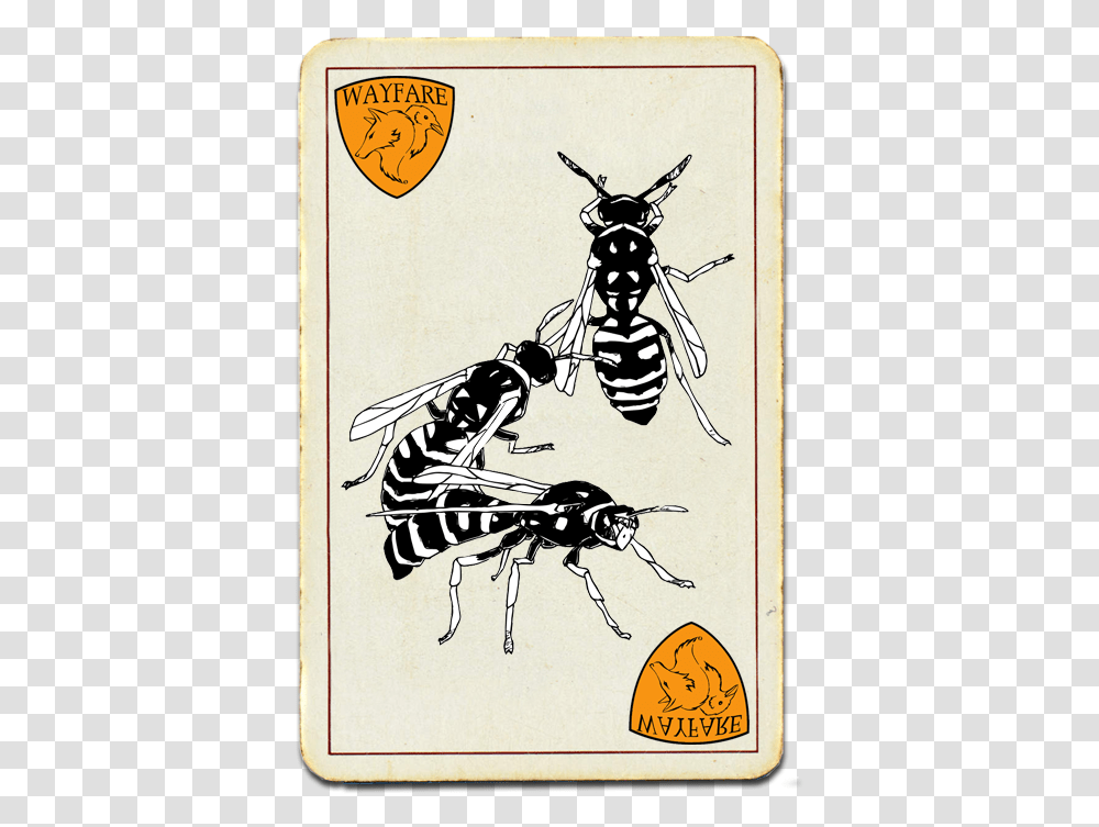 Wayfare Pest Solutions Illustration, Wasp, Bee, Insect, Invertebrate Transparent Png
