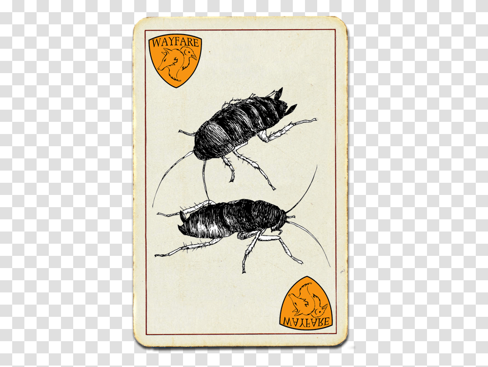 Wayfare Pest Solutions Most Wanted Madagascar Hissing Cockroach, Insect, Invertebrate, Animal, Bird Transparent Png