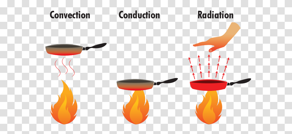 Ways Heat Conduction Infrared Interactions Similar Huddranweduc, Bird, Animal Transparent Png