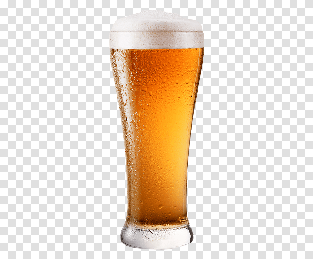 We All Love Beer Glassware Tall Glass Of Beer, Alcohol, Beverage, Drink, Lager Transparent Png