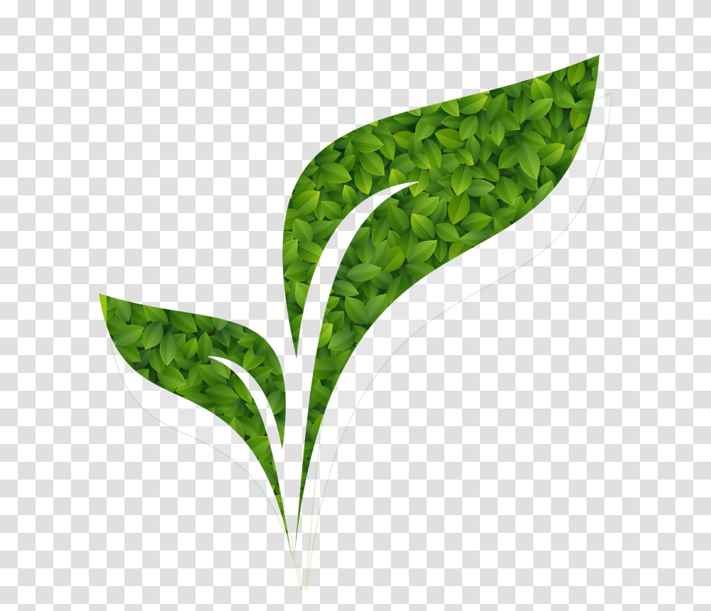 We Are Green Banner, Plant, Food, Vegetable, Soy Transparent Png