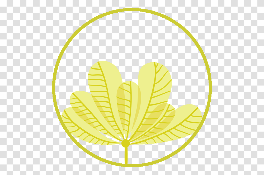 We Are Seaweed Art, Leaf, Plant, Label, Text Transparent Png