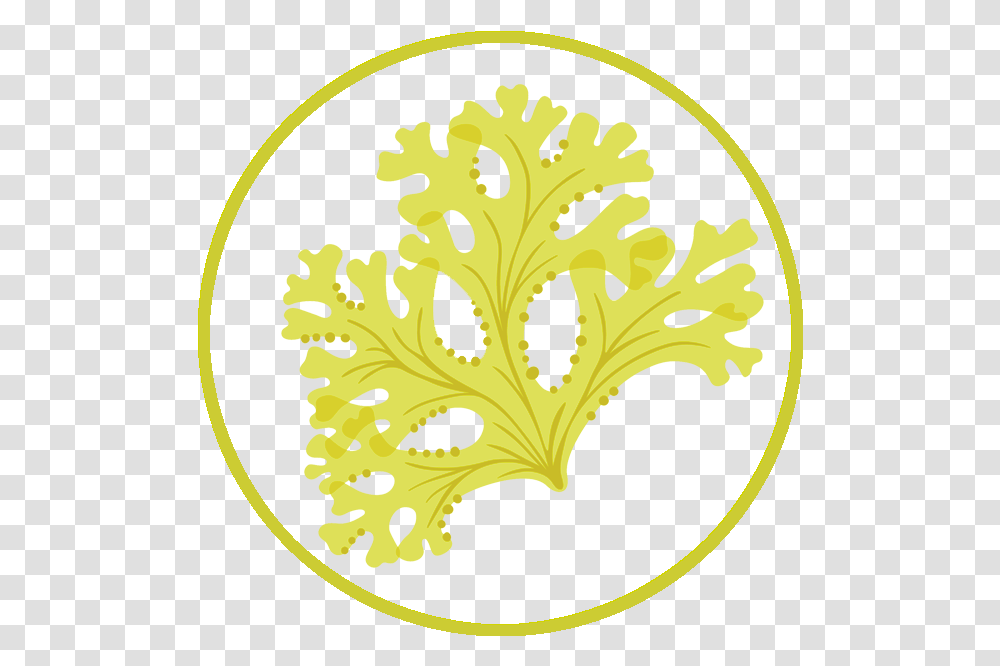 We Are Seaweed Stencil, Painting, Art, Text, Rug Transparent Png