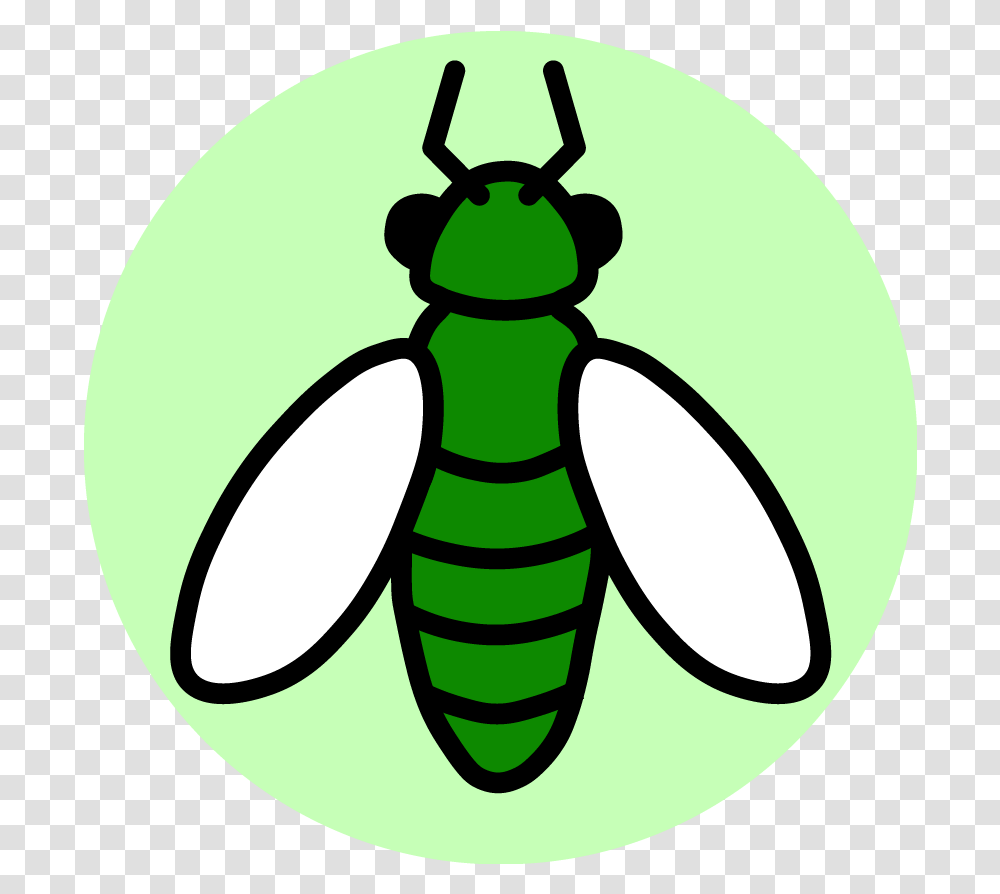 We Love Bugs Insect, Wasp, Bee, Invertebrate, Animal Transparent Png