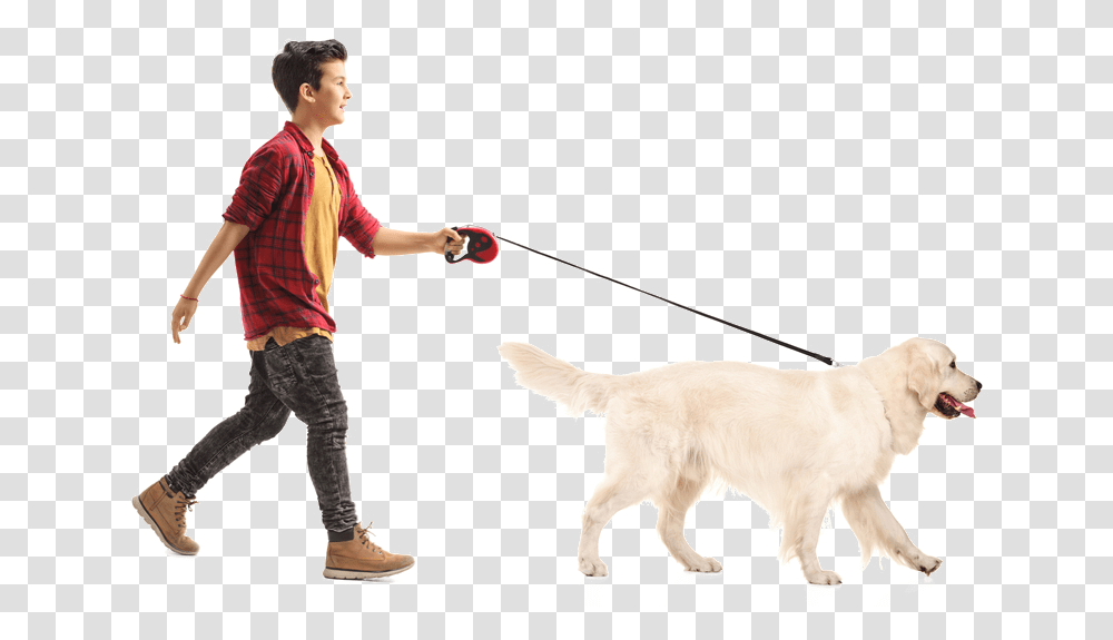 We Take Your Dog For A Walk With Leash Only Unless People Walking With Dog, Person, Pet, Canine, Animal Transparent Png