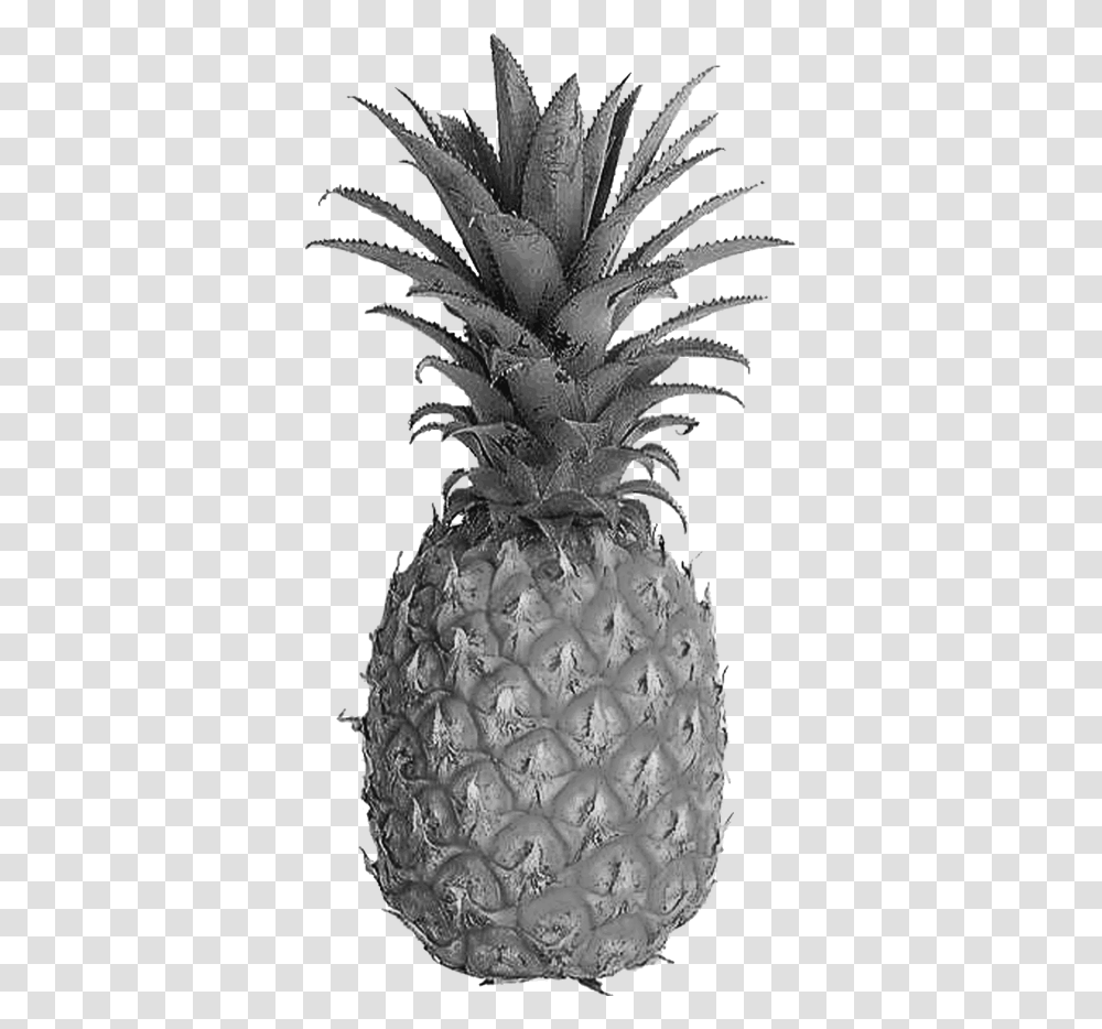 We Want To Make You Healthy Using Only The Best Ingredients Tessellation In Our Daily Life, Plant, Pineapple, Fruit, Food Transparent Png