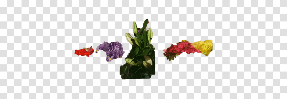 We Wither Bloom - Messy Arum, Plant, Flower, Vase, Jar Transparent Png