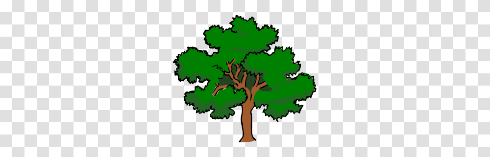 Weak As A Willow Strong As An Oak I Am The Honest Gym Bunny, Tree, Plant, Tree Trunk Transparent Png