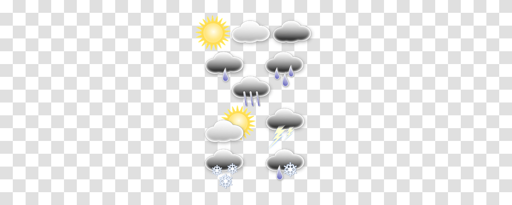 Weather Chandelier, Lamp, Sea Life, Animal Transparent Png