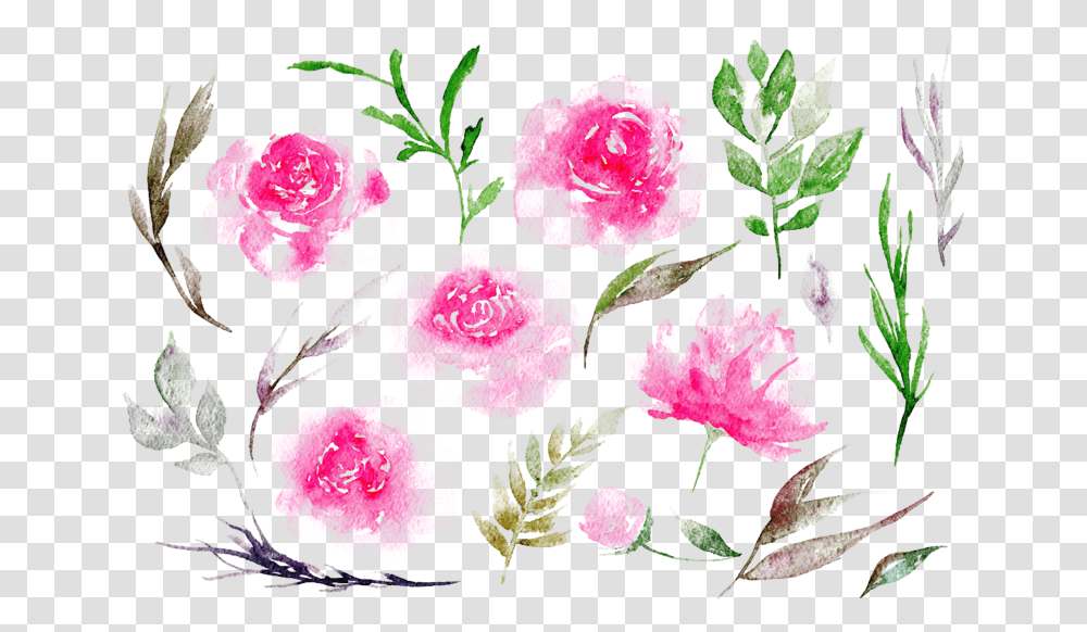 Weather Clip Art Pink Peonies Watercolor, Plant, Flower, Blossom, Rose Transparent Png