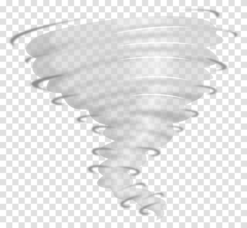 Weather Icon Background Tornado Clipart, Animal, Bird, Waterfowl, Flying Transparent Png