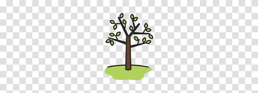 Weather Nature Environment Esl Library, Tree, Plant, Coat Rack, Fir Transparent Png