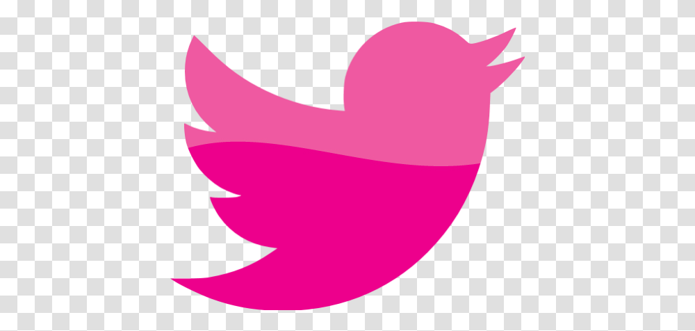 Web 2 Deep Pink Twitter Icon Free Web 2 Deep Pink Social Twitter Social Media Icon, Animal, Flamingo, Bird, Mouth Transparent Png