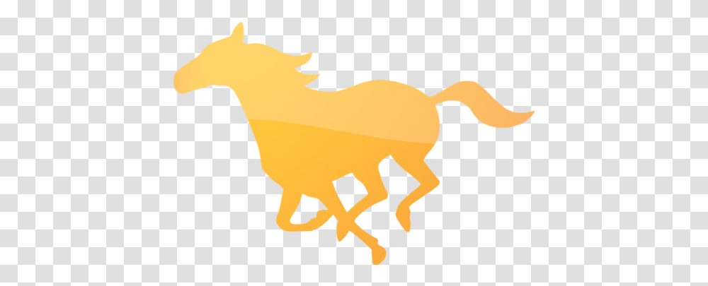 Web 2 Orange Horse Icon Free Web 2 Orange 2 Animal Icons Animal Figure, Mammal, Symbol Transparent Png