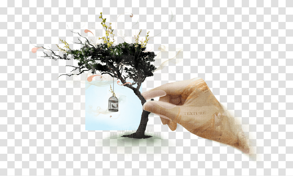 Web Design Creative Tree, Plant, Ikebana, Vase Transparent Png