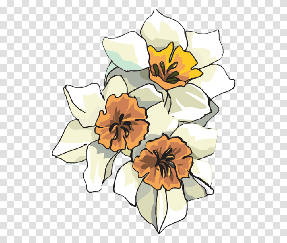 Web Design Development Clip Art Flowers And Cards, Plant, Blossom, Daffodil, Painting Transparent Png