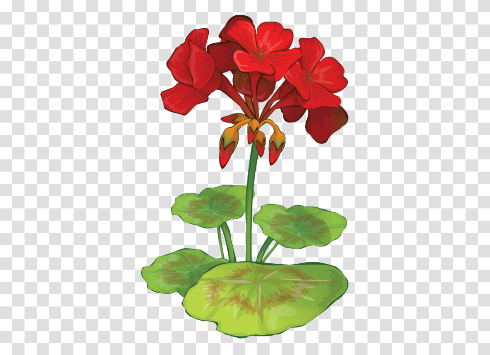 Web Design Development Ink Flowers Flower, Plant, Geranium, Blossom, Lily Transparent Png