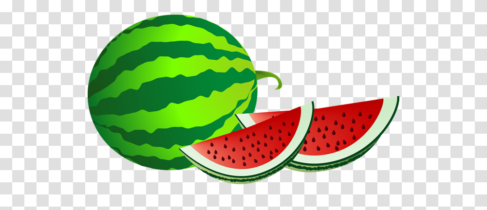Web Design Development Misc Clip Art Summer, Plant, Fruit, Food, Watermelon Transparent Png