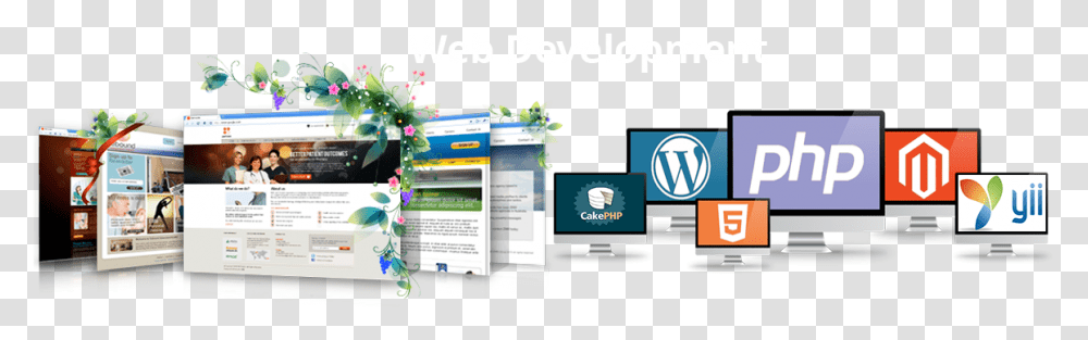 Web Developers Wordpress, File, Person, Human, Paper Transparent Png