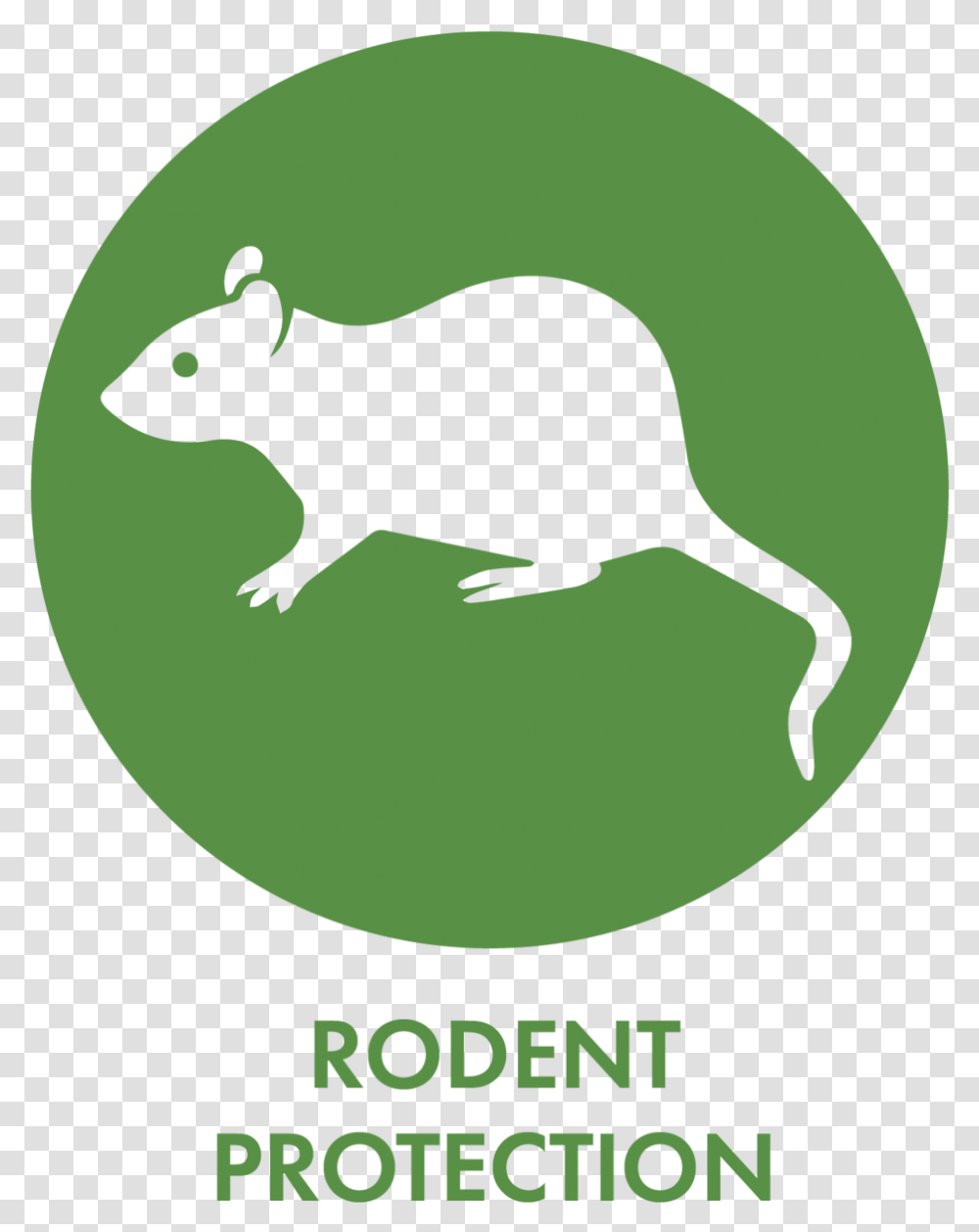 Web Icons Precise Rodent Protection Fire Protection, Mammal, Animal, Kangaroo Transparent Png