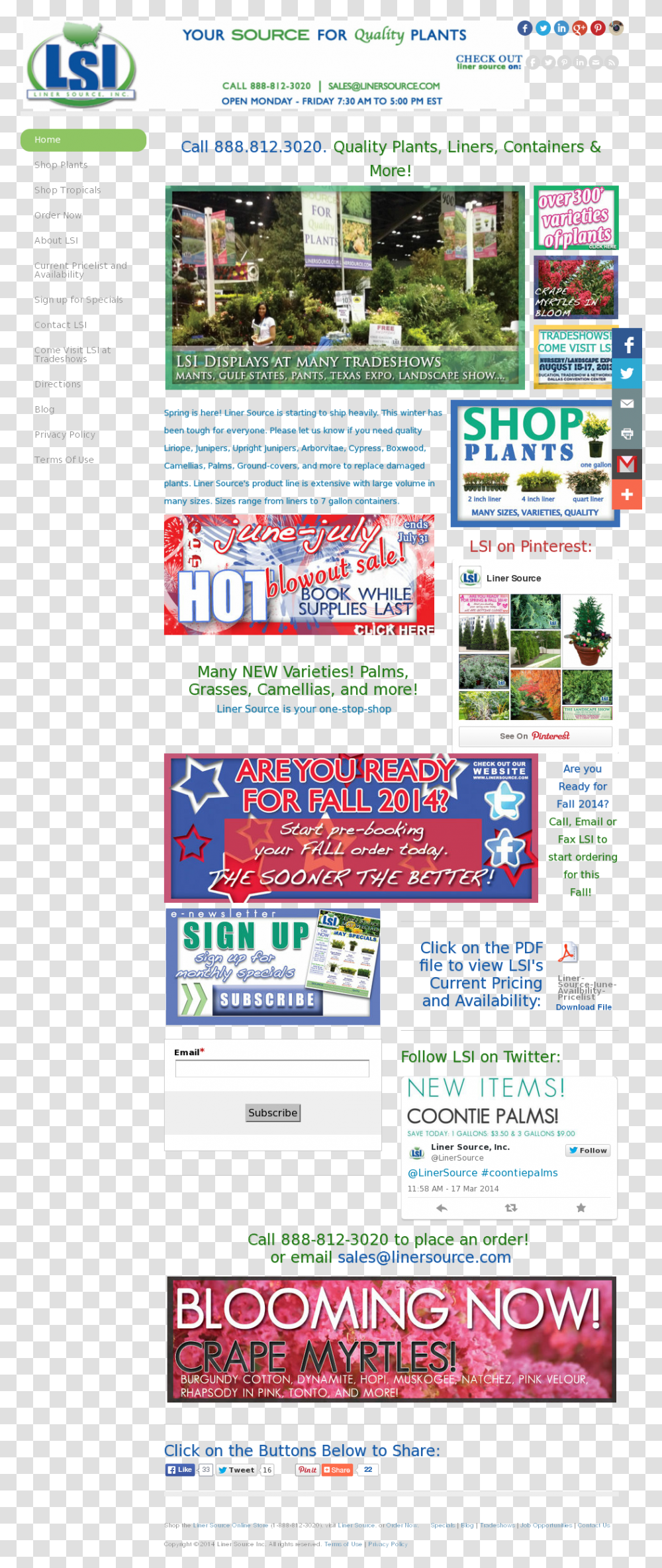 Web Page, Poster, Advertisement, Flyer, Paper Transparent Png