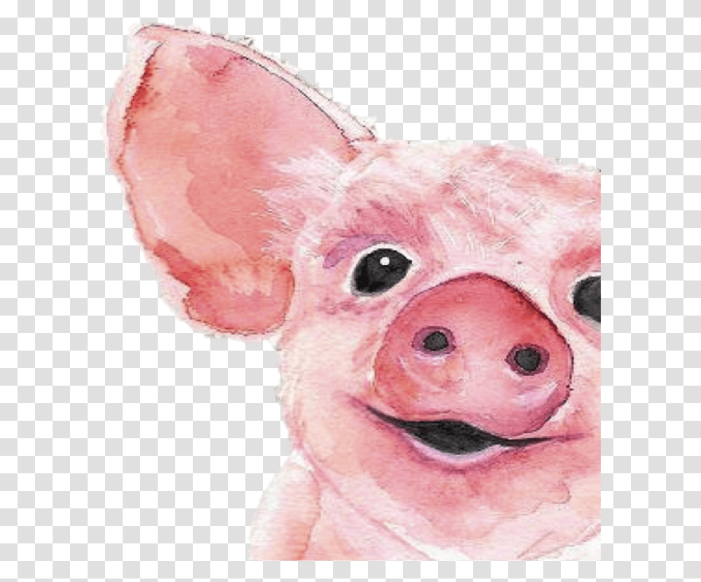 Web Pig Painting, Mammal, Animal, Snout Transparent Png