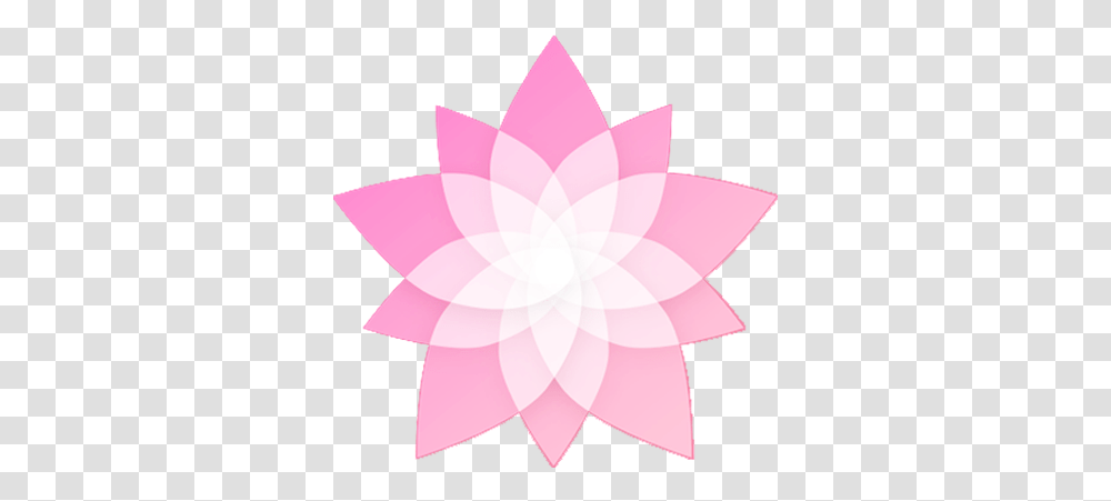 Website Girly, Leaf, Plant, Lamp, Symbol Transparent Png