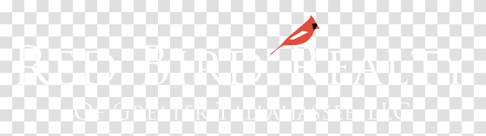 Website Logo Cardinal, Word, Alphabet Transparent Png