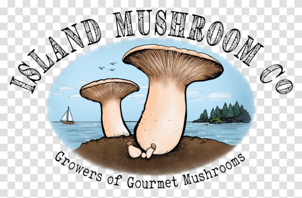 Website Logo Mushrooms Company, Plant, Agaric, Fungus, Amanita Transparent Png