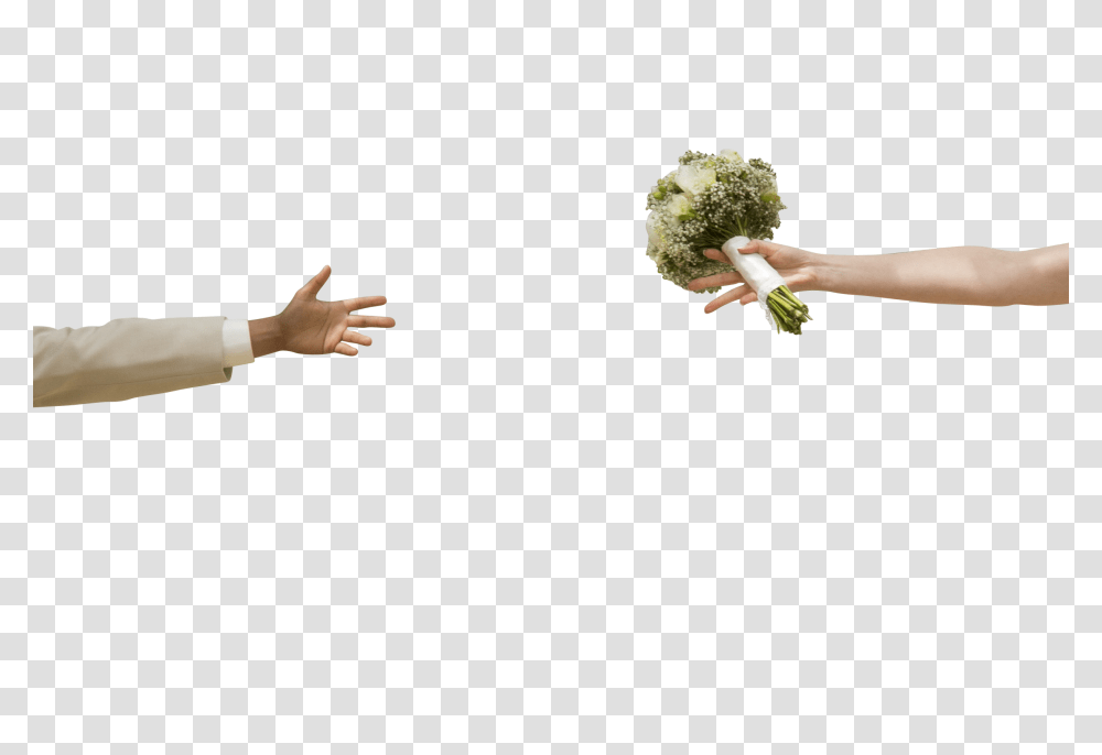 Wedding Clip, Person, Plant, Broccoli, Vegetable Transparent Png