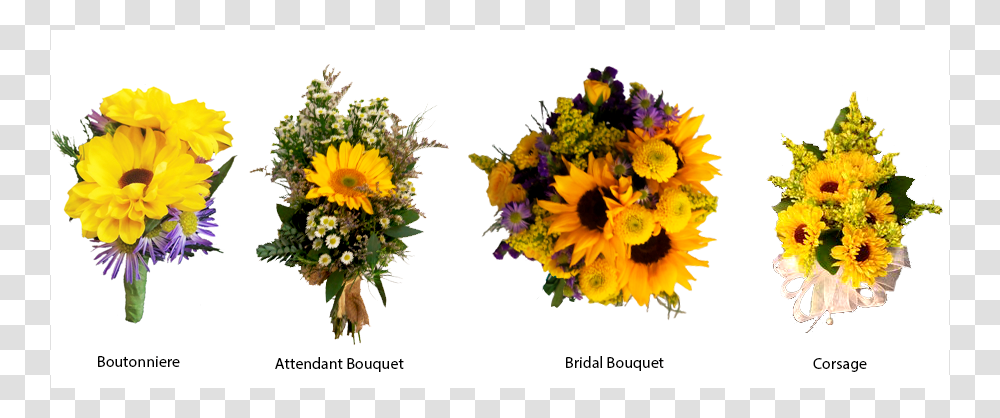 Wedding Bouquet, Plant, Flower, Blossom, Sunflower Transparent Png