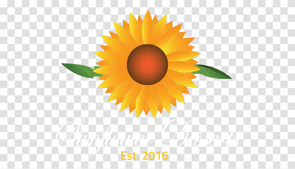 Wedding Cakes Mahima Ram Naam, Plant, Outdoors, Nature, Sunflower Transparent Png