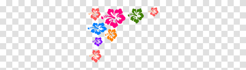 Wedding Clipart Indian Colour, Plant, Flower, Blossom Transparent Png
