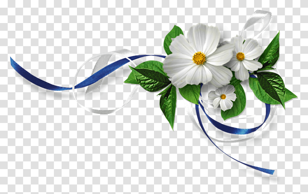 Wedding Flower Icon, Plant, Daisy Transparent Png