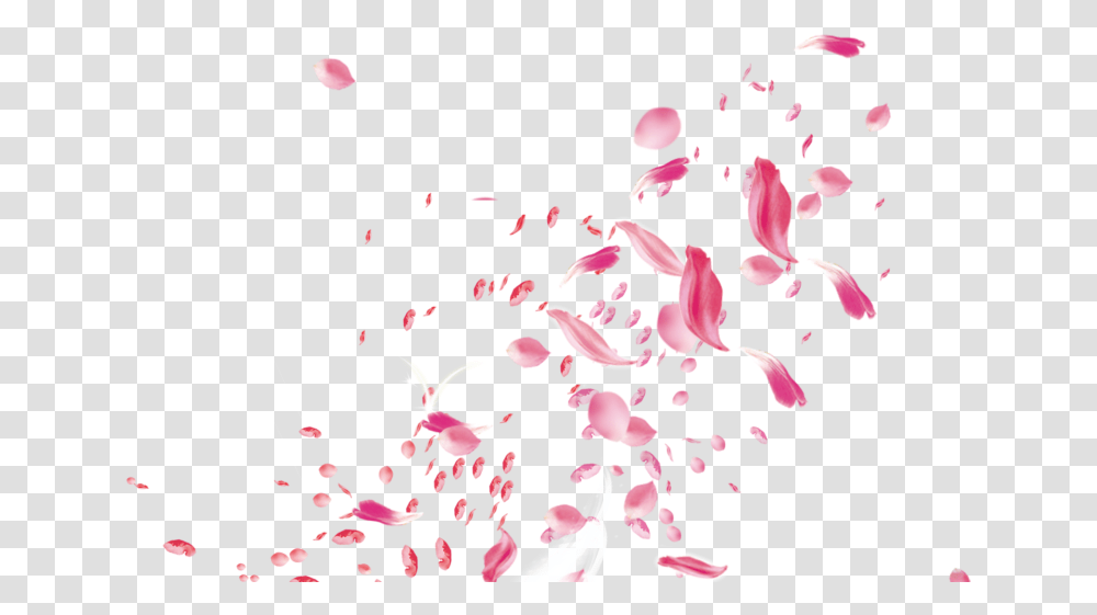 Wedding Flowers Falling, Petal, Plant, Blossom, Paper Transparent Png