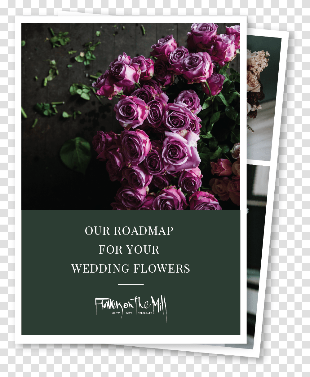 Wedding Flowers Floribunda, Graphics, Art, Floral Design, Pattern Transparent Png