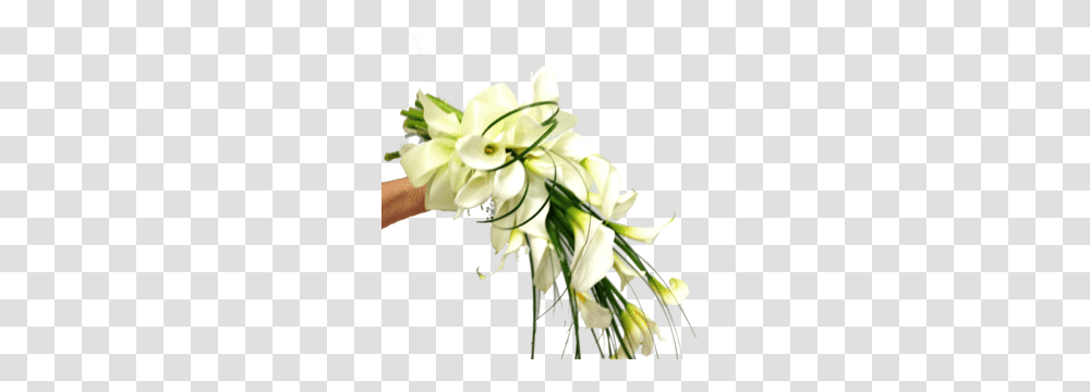 Wedding Gails Floral Studio, Plant, Flower, Blossom, Flower Bouquet Transparent Png