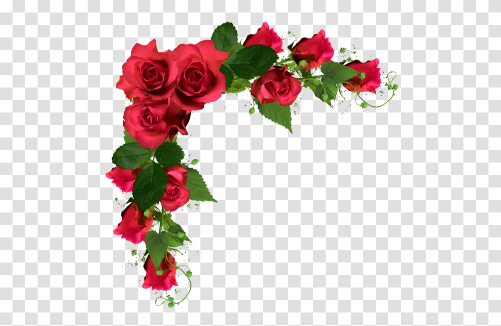 Wedding, Holiday, Rose, Flower, Plant Transparent Png