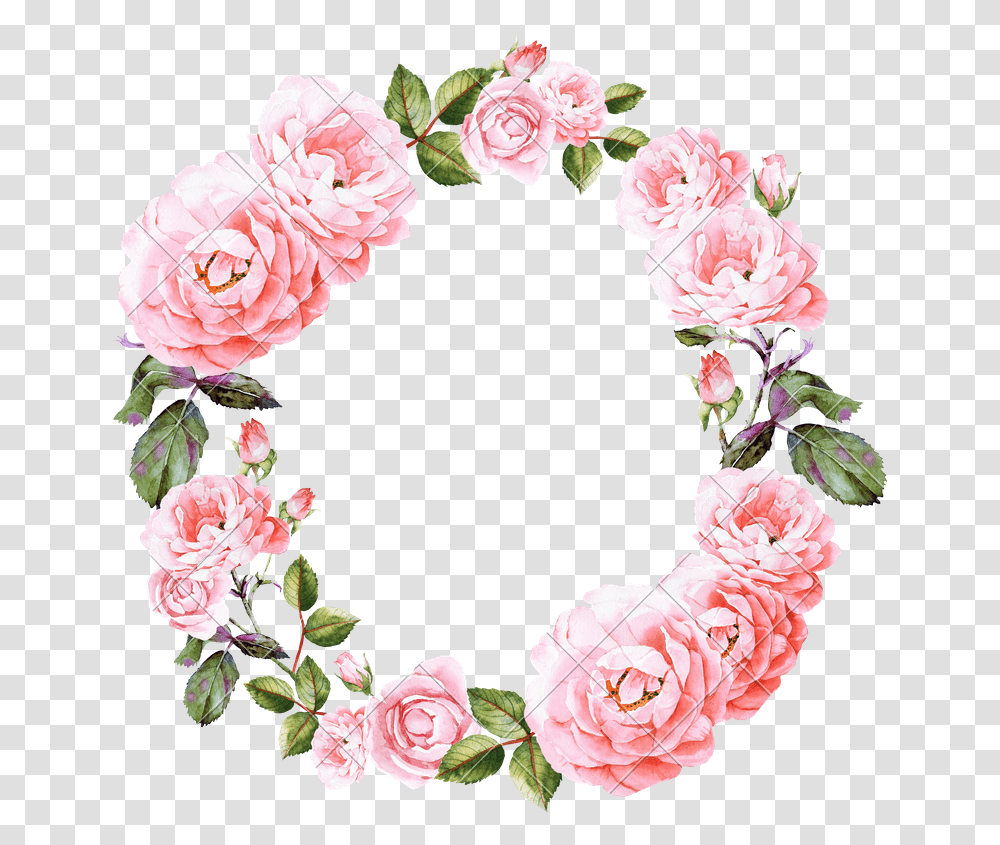 Wedding Invitation Flower Watercolor Flower Background Wreath, Plant, Blossom, Rose, Carnation Transparent Png