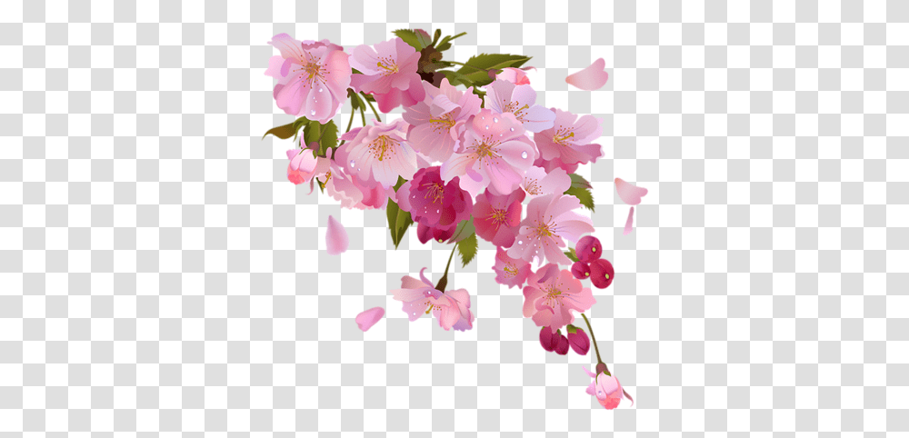 Wedding Invitation Pink Flowers Pastel Flowers Background, Plant, Blossom, Cherry Blossom, Geranium Transparent Png