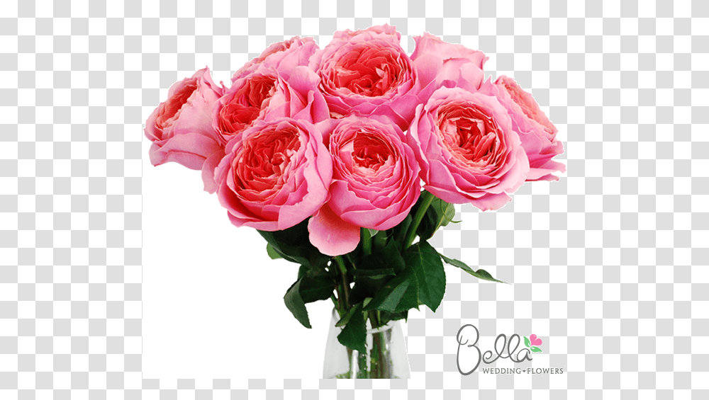 Wedding, Plant, Flower, Blossom, Rose Transparent Png