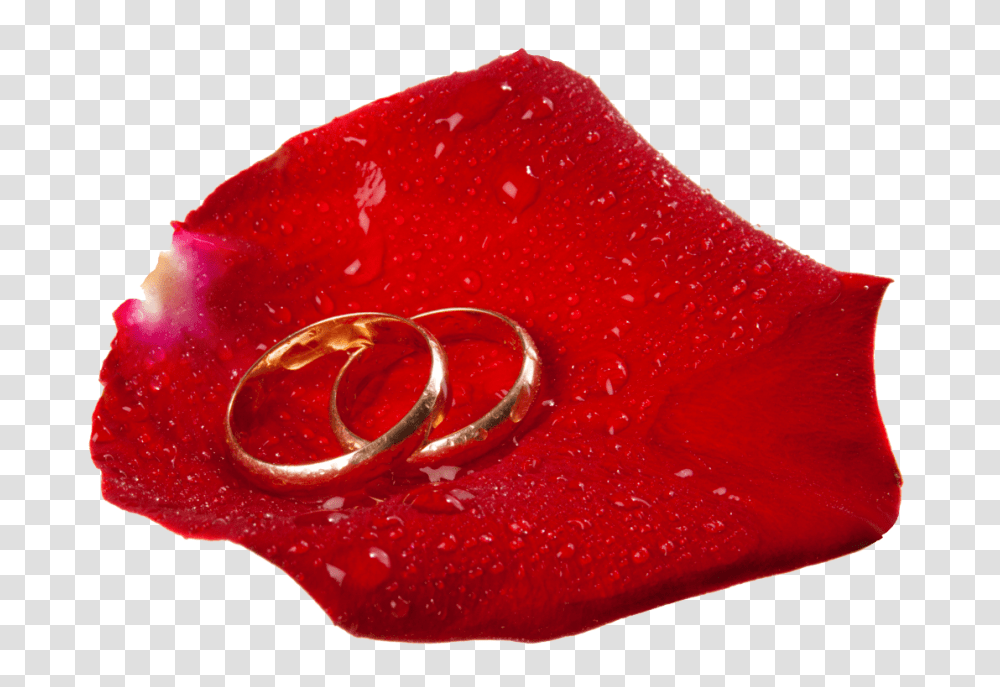 Wedding Rings In Rose Petal, Flower, Plant, Blossom, Accessories Transparent Png