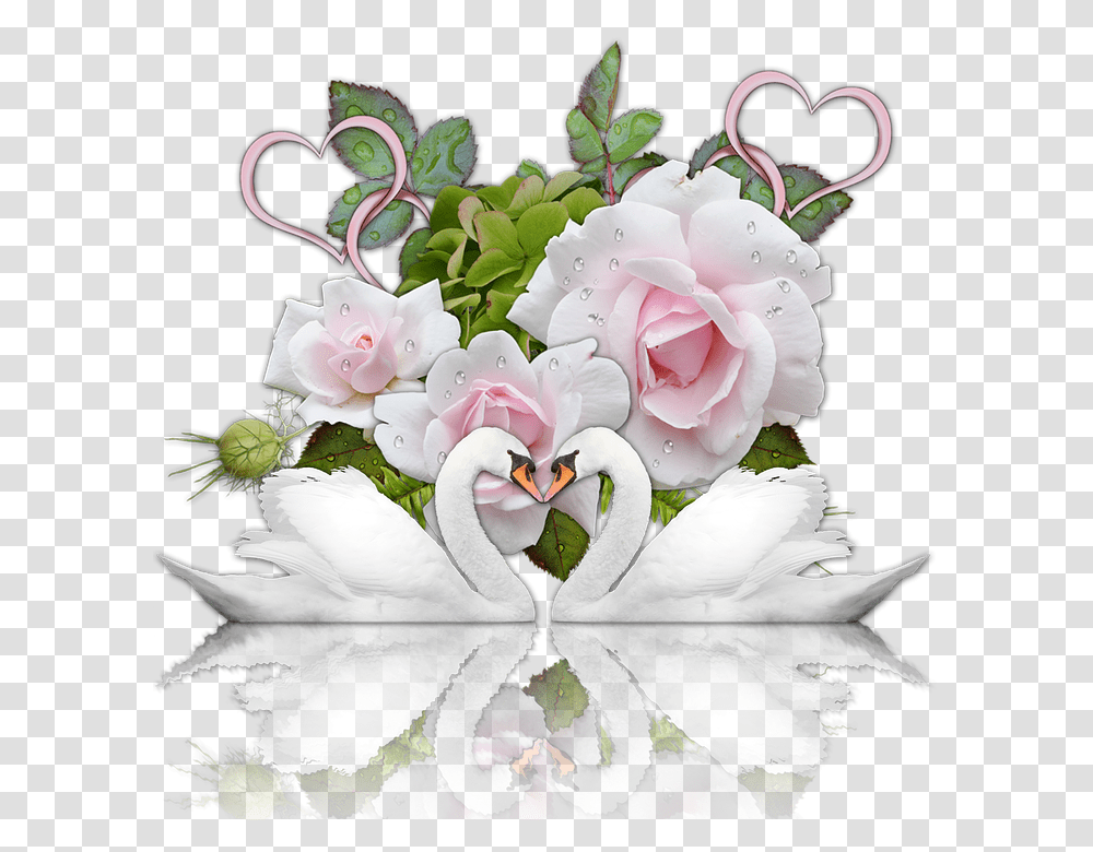 Wedding Romance Heart Swans Roses Scrapbooking Wedding, Plant, Flower, Petal, Floral Design Transparent Png