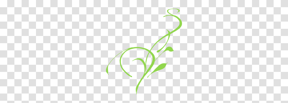 Wedding Swirl Green Clip Art, Plant, Produce, Food, Vegetable Transparent Png