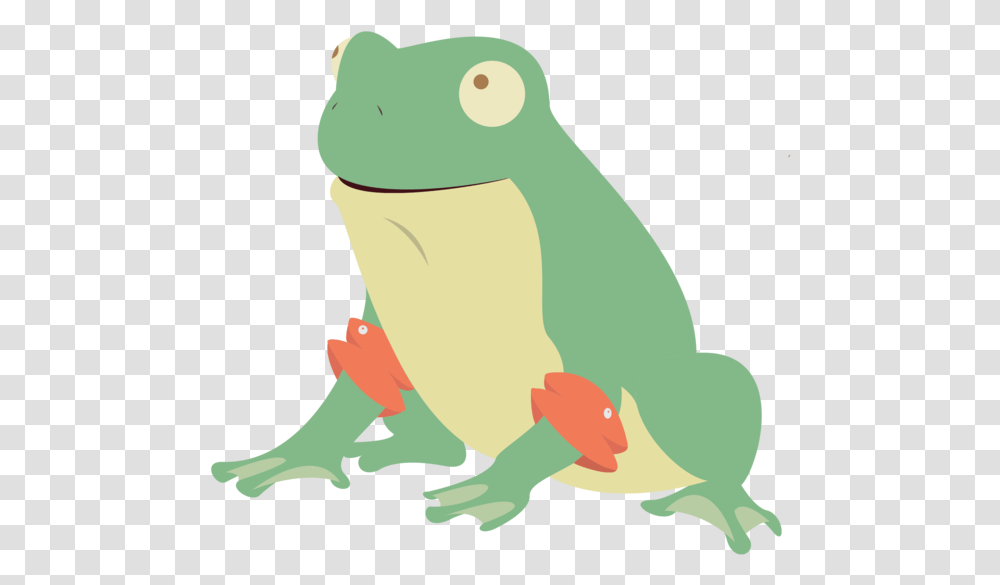 Wednesday Frog, Amphibian, Wildlife, Animal, Tadpole Transparent Png