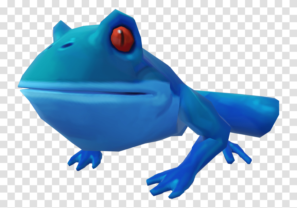 Wednesday Frog, Wildlife, Animal, Amphibian, Tadpole Transparent Png